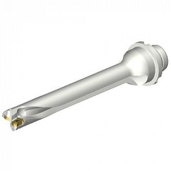 DS20-D1900DM25-07