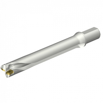 DS20-D4100L40-07