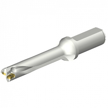 DS20-D1900L25-05