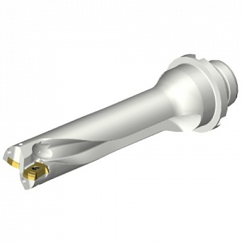 DS20-D2300DM25-04