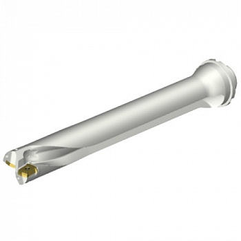DS20-D4300DM40-07