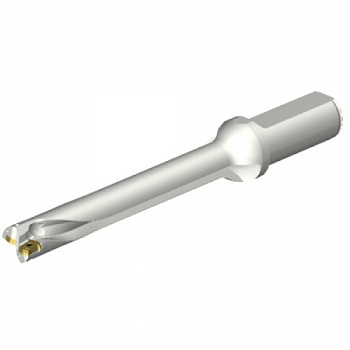 DS20-D1900L25-07