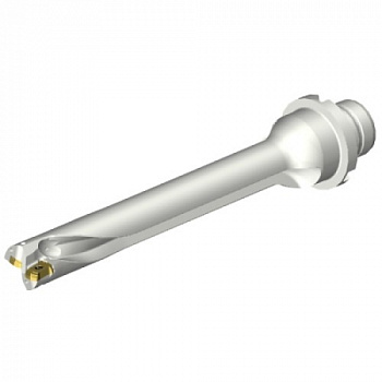 DS20-D1600DM20-07