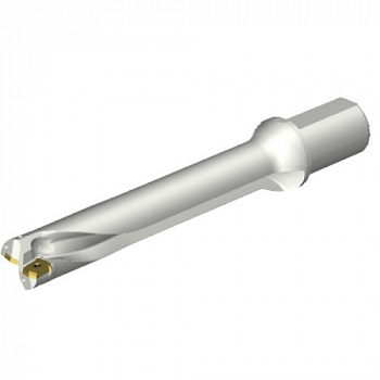 DS20-D4300L50-06