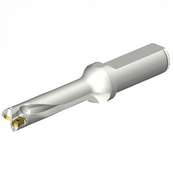 DS20-D1500L20-04