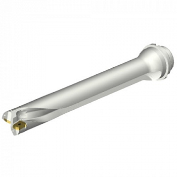 DS20-D4400DM50-07